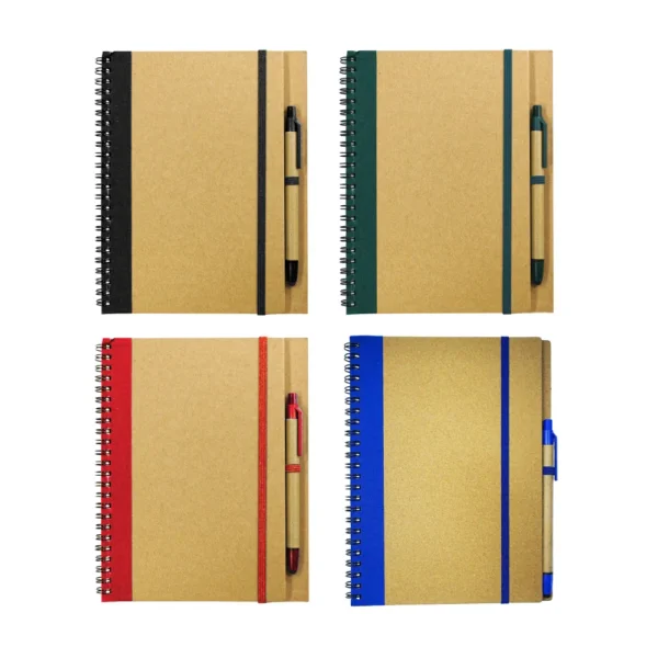 Notebooks-RNP-01